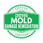 Mold Damage Remediation Experts in Tallahassee Florida