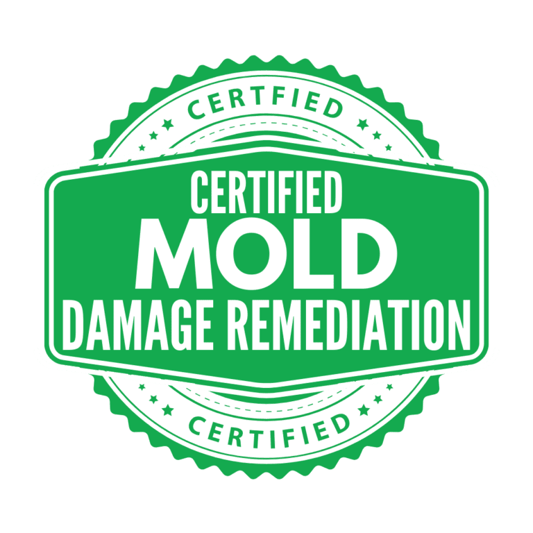 Mold Damage Remediation Experts in Tallahassee Florida